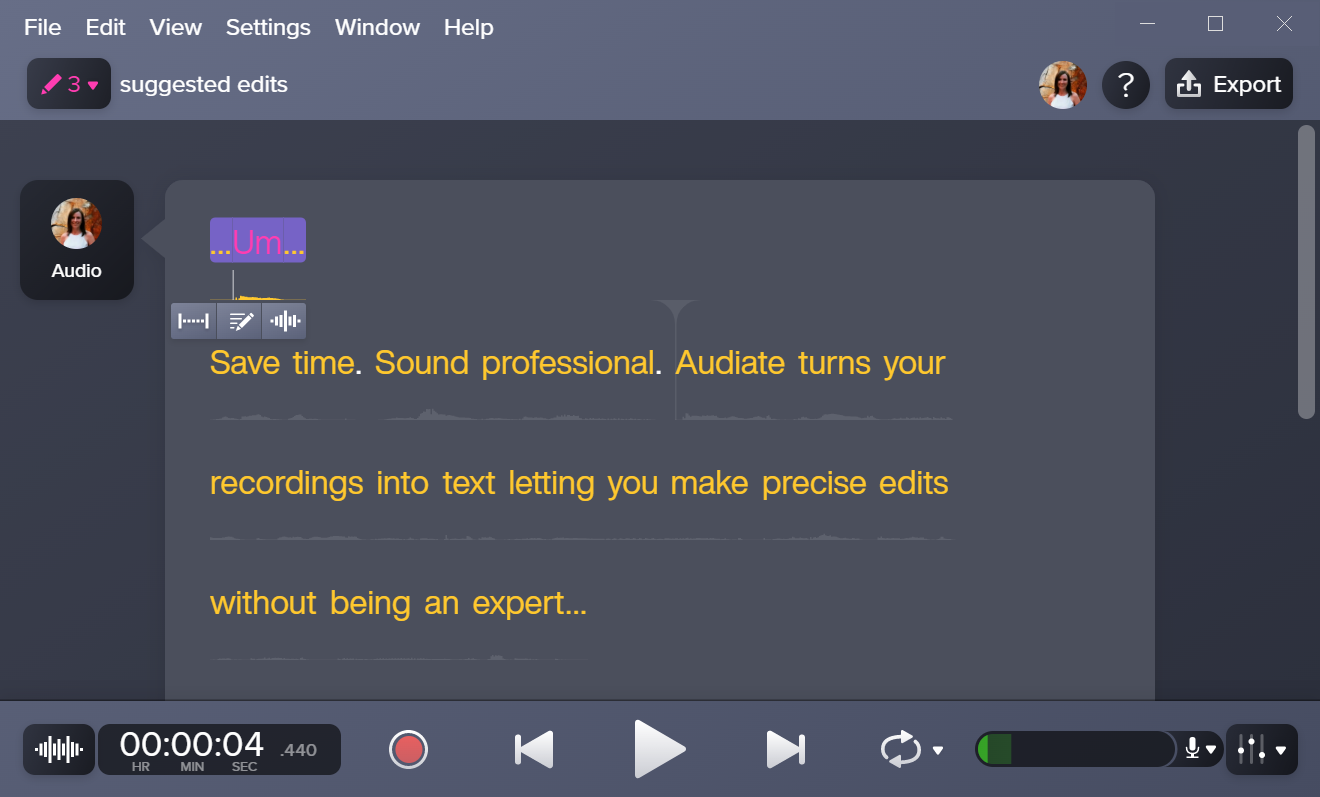 Audiate での書き起こしの例