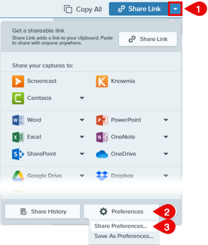 Share Preferences in the Share Link dropdown on Windows